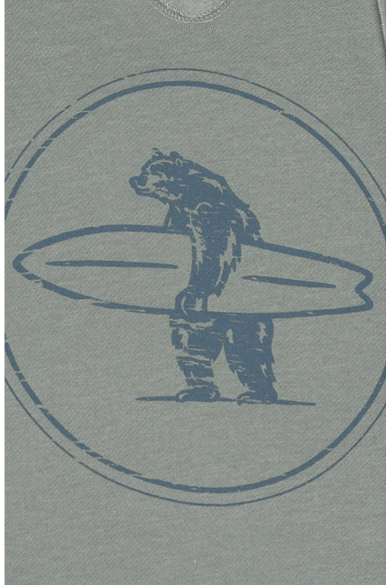 Torrey Pines Hoodie, Alternate, color, Sage