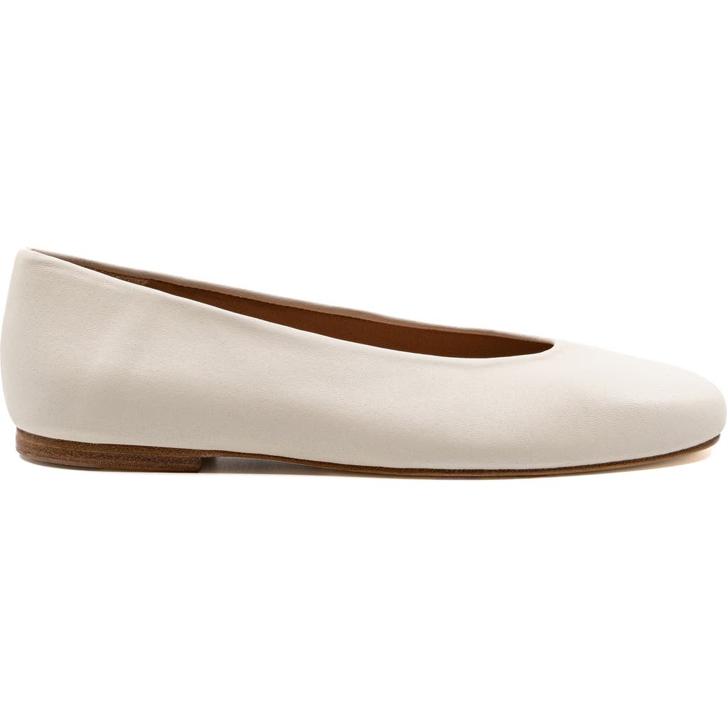 Andrea Gomez Dalia Leather Ballerina Flat in Off White at Nordstrom, Size 39