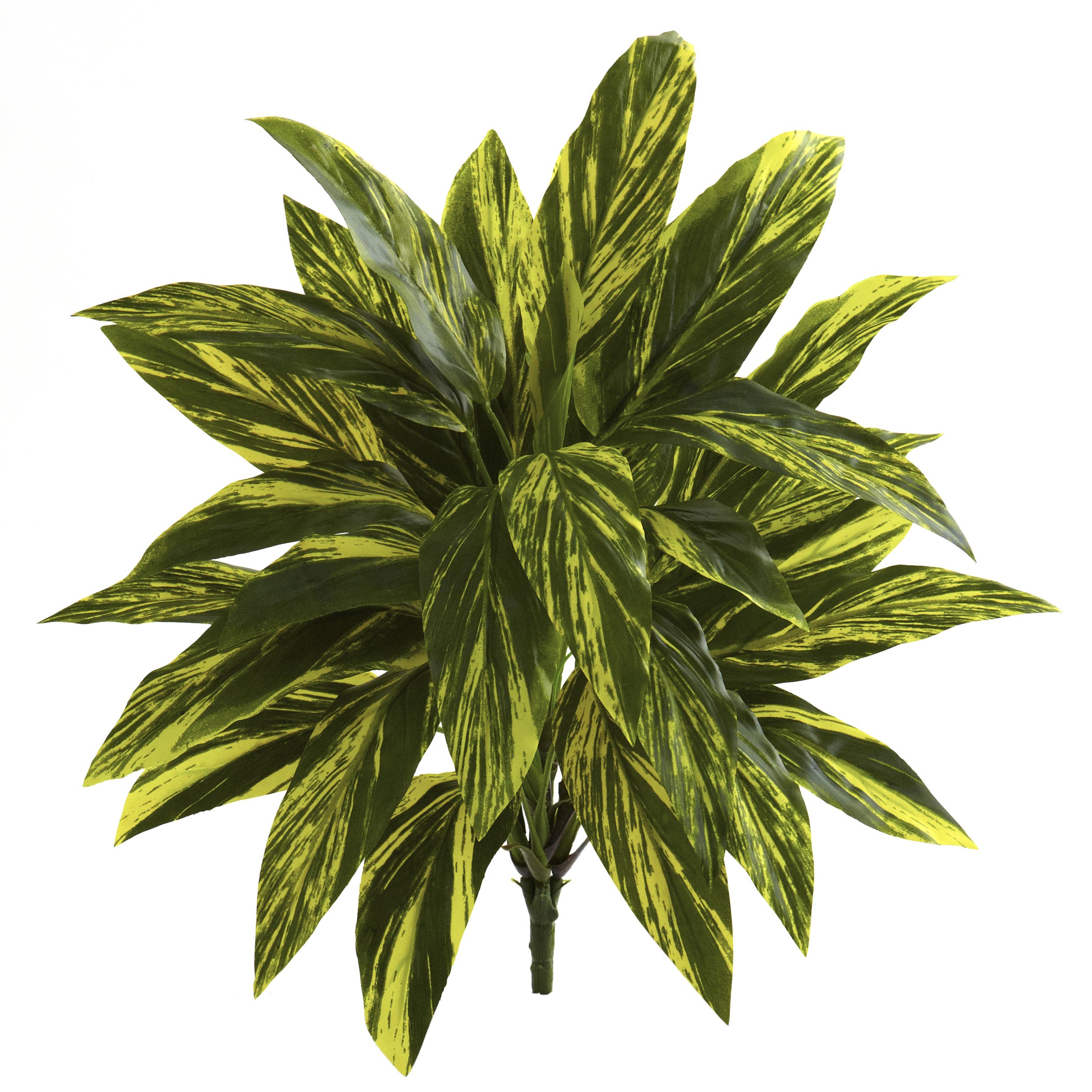 selected Green