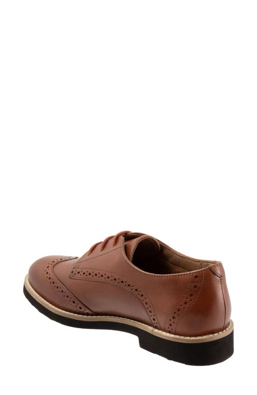Softwalk ® Willet Wingtip Derby In Luggage