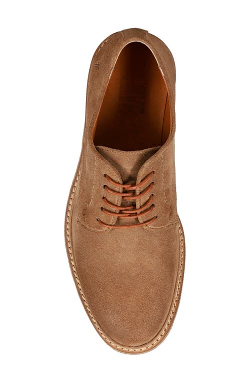 Frye Carter Derby In Brown