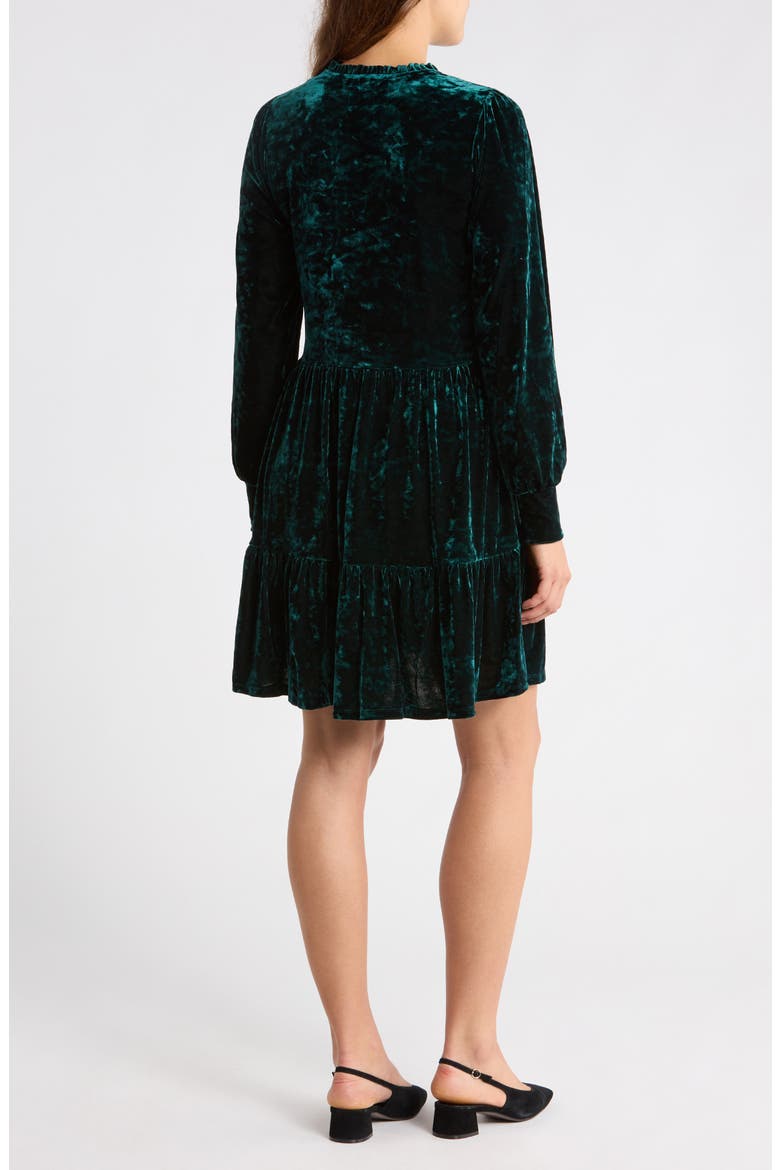 Long Sleeve Velvet Dress, Alternate, color, HUNTER GREEN