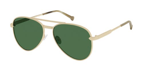 Colors In Optics Ace Sunglasses In Gold
