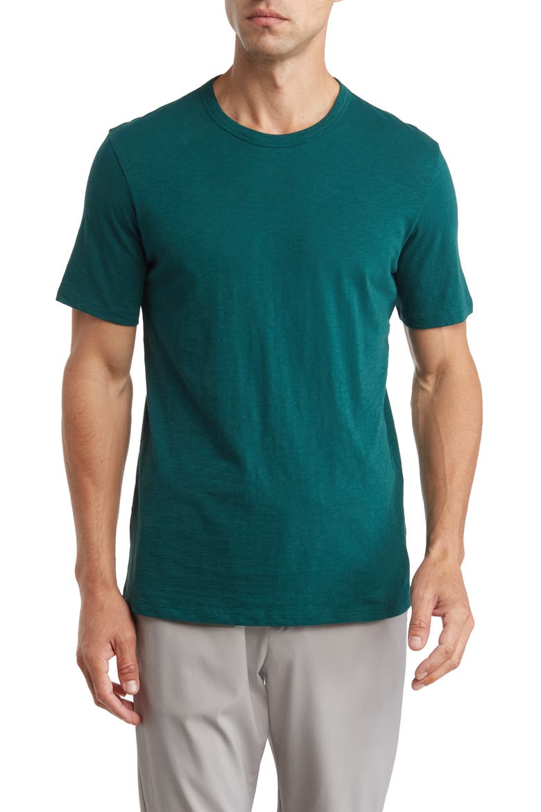 Essential in Cosmos Slub Cotton Tee, Main, color, FOLIAGE
