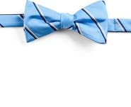 Synrgy by DXL Big & Tall Traditional Striped Bow Tie