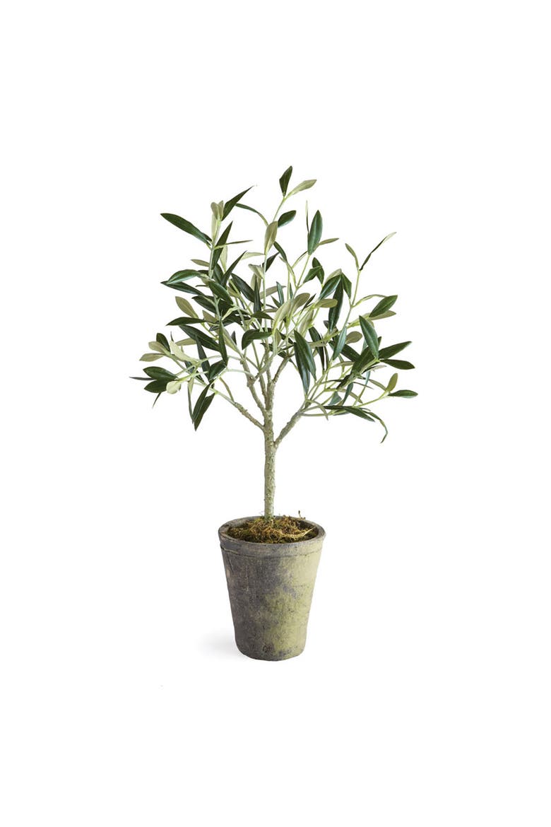Olive Tree Potted 17", Main, color, Green