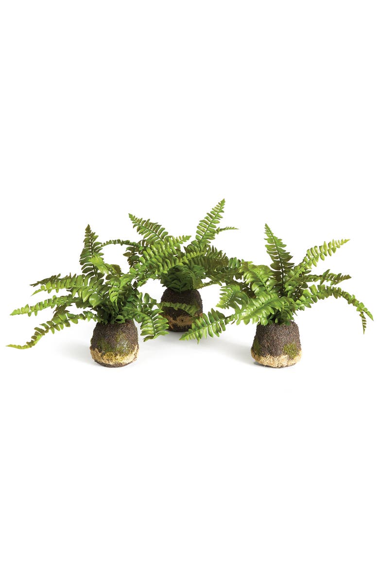 Napa Home & Garden Boston Fern Drop-Ins, Set Of 3, Main, color, Green