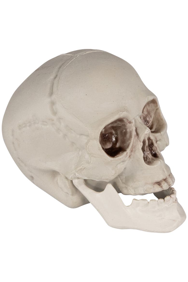 Shruken Skeleton Skulls Halloween Decorations - 4.5" - Set of 6, Alternate, color, Ivory