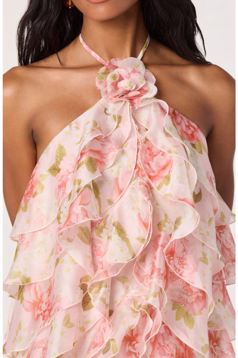 Ofra Floral Halter Neck Minidress, Alternate, color, BLUSH FLORAL