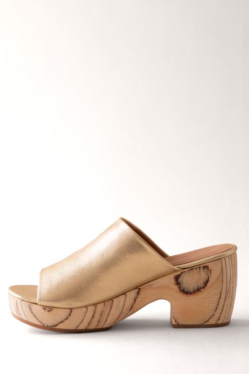 Huma Blanco Katlyn Platform Clog In Gold