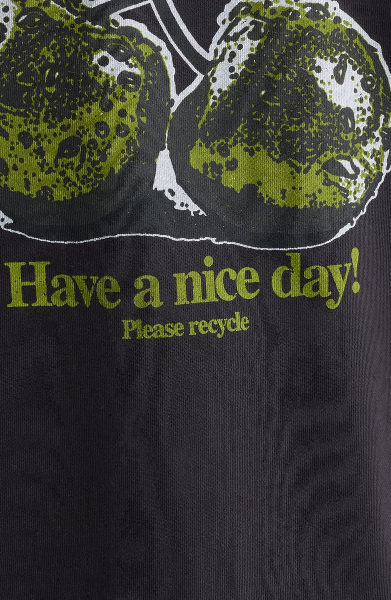 Ganni Isoli Cherries Oversize Organic Cotton Hoodie, Alternate, color, 