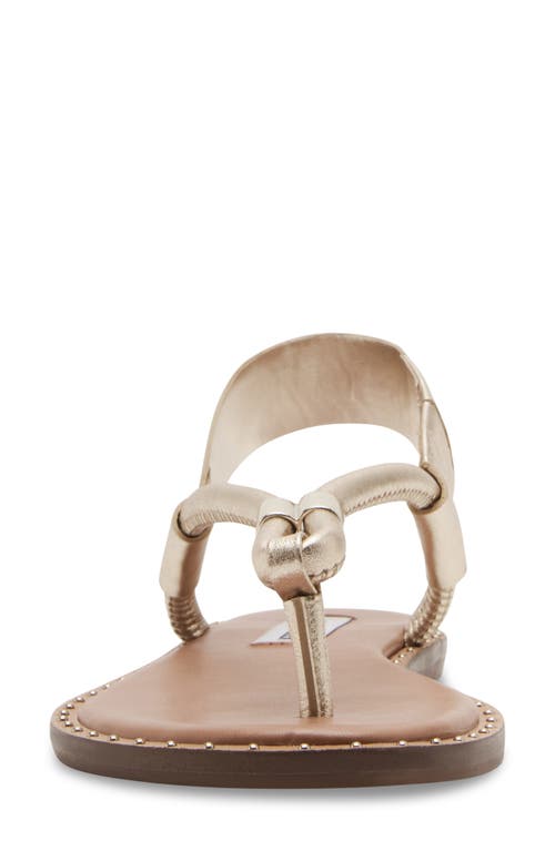 Steve Madden Meduza Sandal In Gold Leather