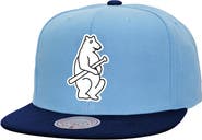 Mitchell & Ness Men's Mitchell & Ness Light Blue Chicago Cubs Cooperstown Collection Basic Flip Snapback Hat