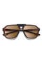 selected Tortoise / Photochromic Brown