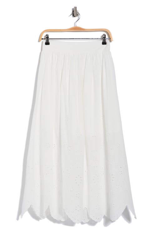 Embroidered Eyelet Cotton Skirt