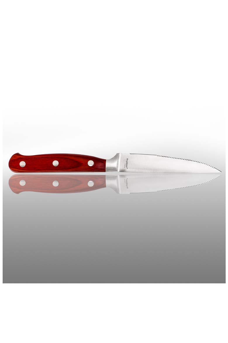 Pakkas 12-Piece Stainless Steel Steak Knives, Alternate, color, BROWN