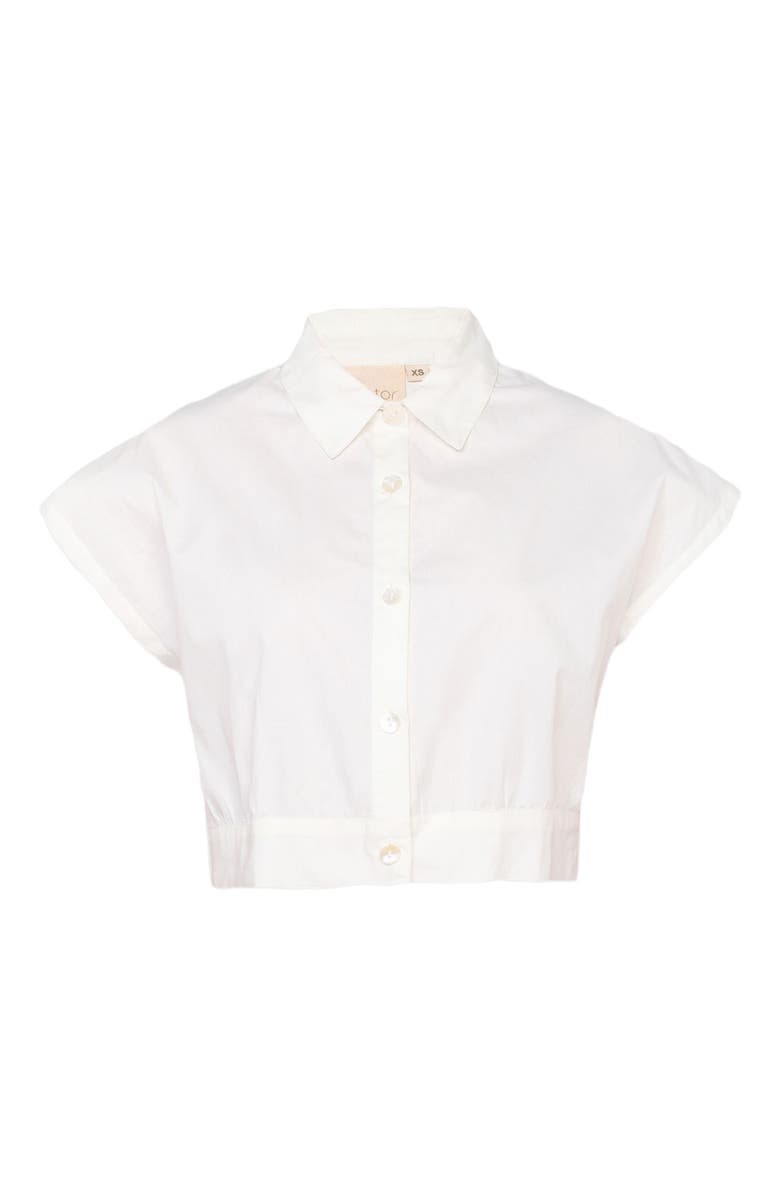 Reistor Oversized Crop Shirt, Alternate, color, Shell Off-White