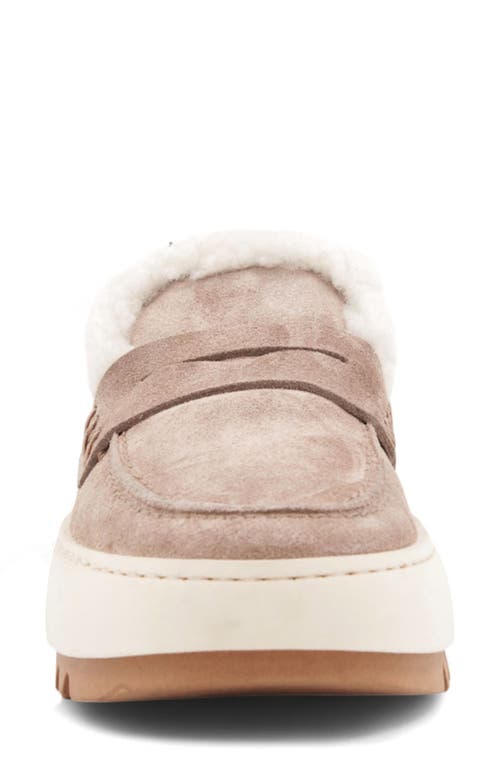 Aquatalia Ameila Genuine Shearling Lined Penny Loafer In Neutral