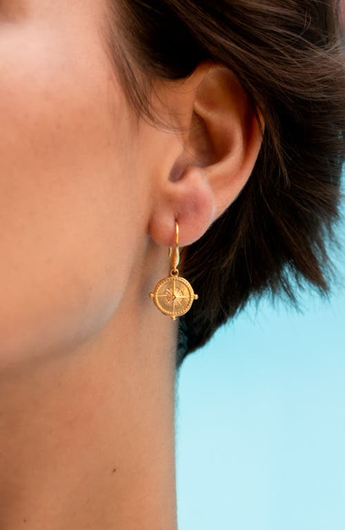 Dower & Hall True North Story Drop Earrings In Brown