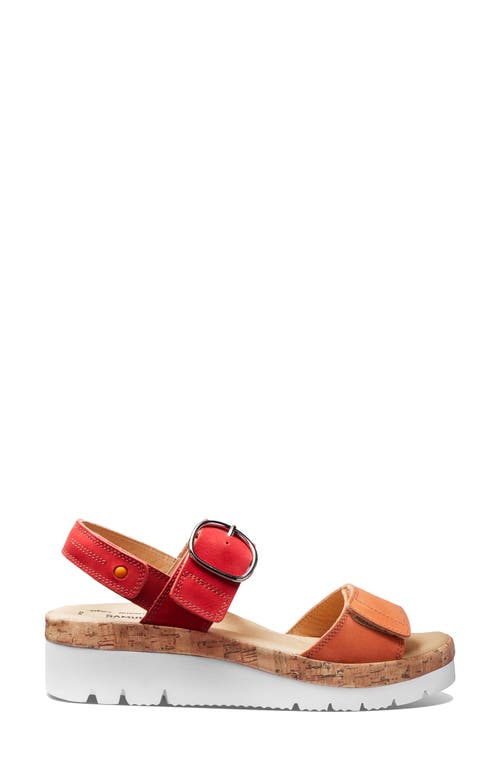 Samuel Hubbard Portola Quarter Strap Wedge Sandal In Two Tone Coral Nubuck