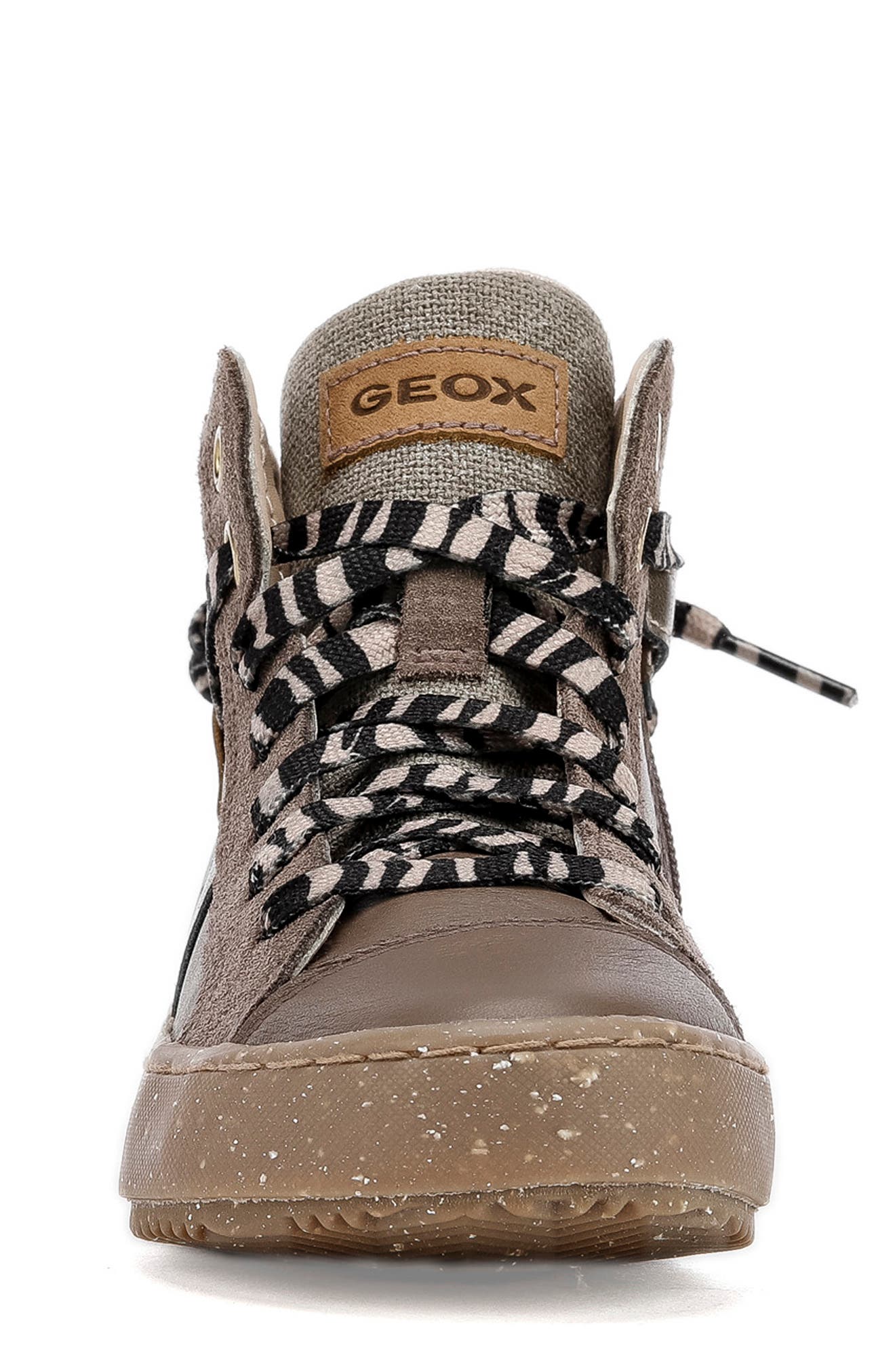 Geox x WWF Kalispera High Top Sneaker, Alternate, color, 