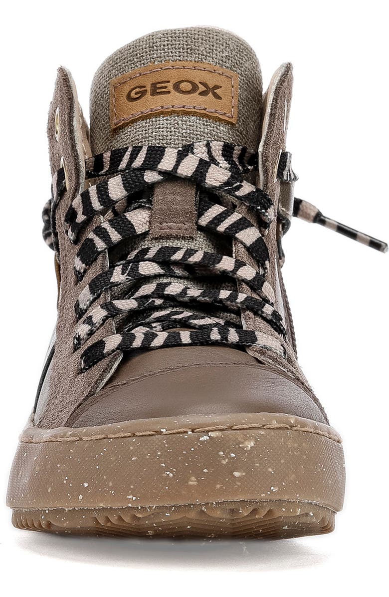 Geox x WWF Kalispera High Top Sneaker, Alternate, color,