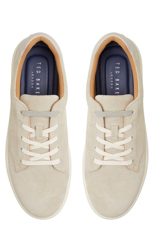 Ted Baker Brentford Sneaker In Bone