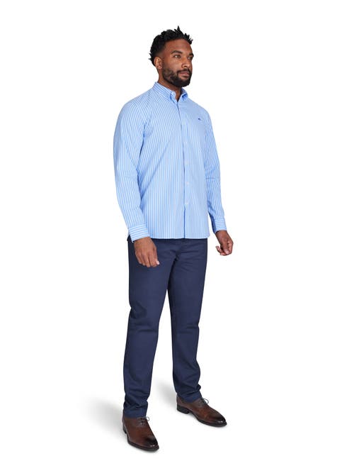 Raging Bull Long Sleeve Stripe Shirt In Blue