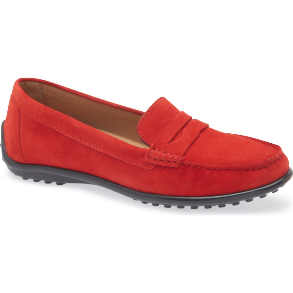 The FLEXX Winter Penny Loafer in Masai