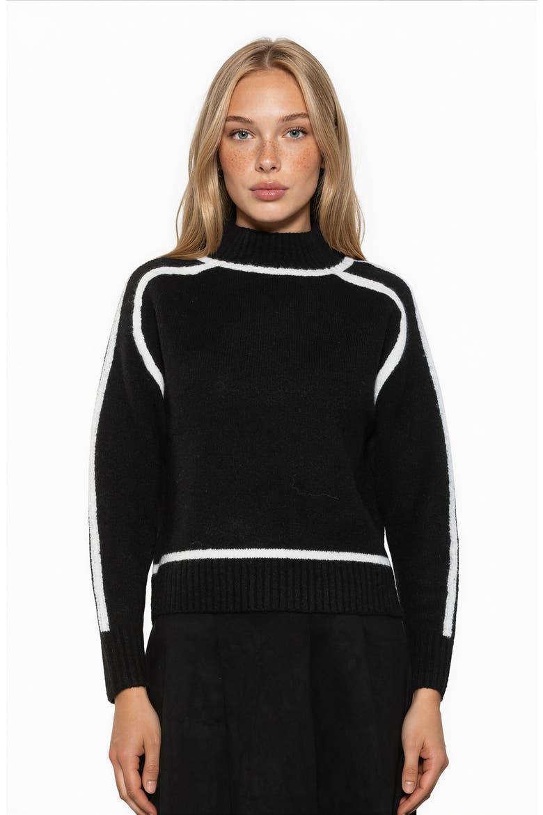 Richie Turtleneck Sweater, Alternate, color, BLACK