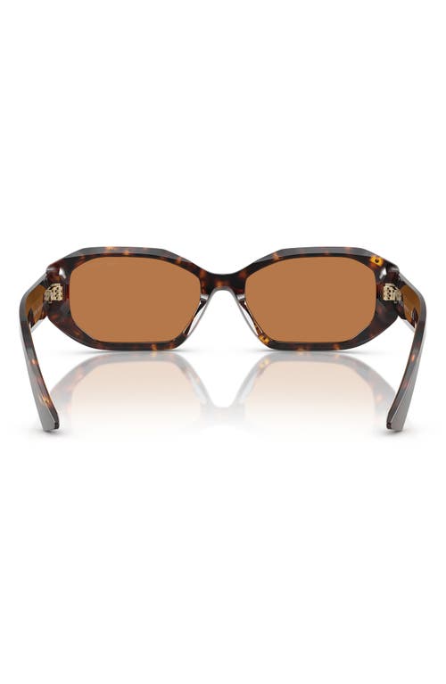 Jimmy Choo 56mm Oval Sunglasses In Brown