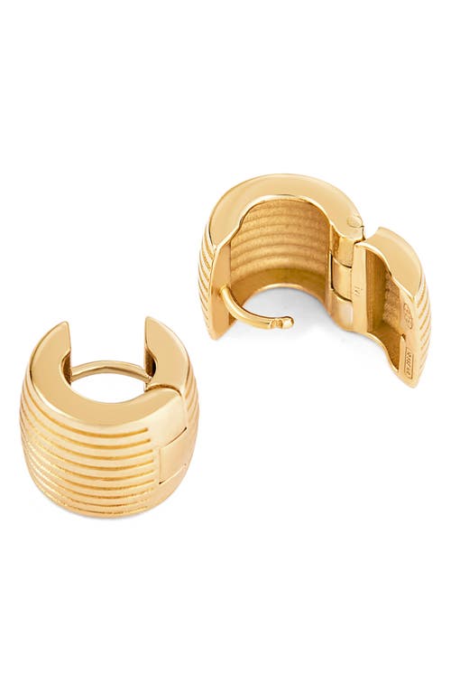 Ivi Los Angeles Round Aurelia Huggie Hoop Earrings In Yellow Gold