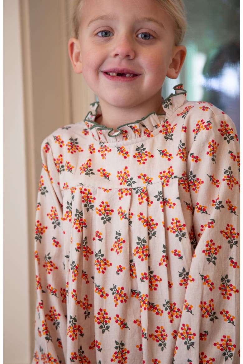 Little Kid  Myrtle Pleated Dress, Alternate, color, Autumn Floral