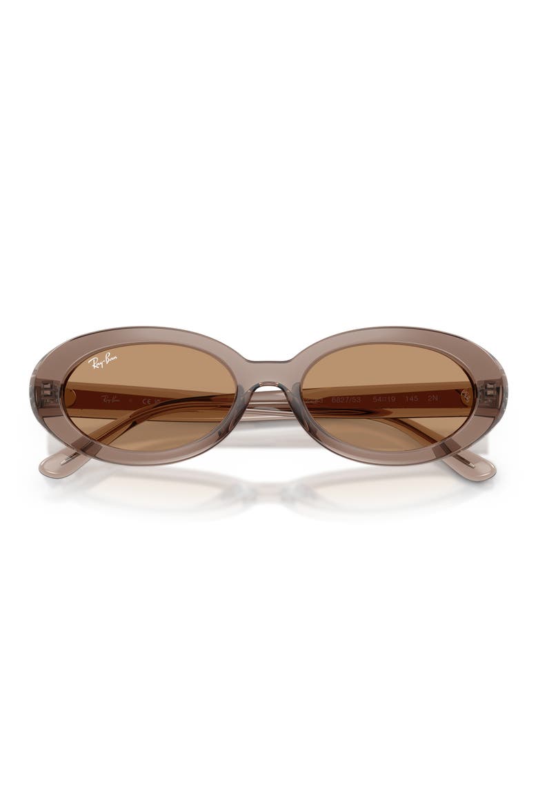 54mm Oval Sunglasses, Alternate, color, TRANSPARENT TAUPE / BROWN