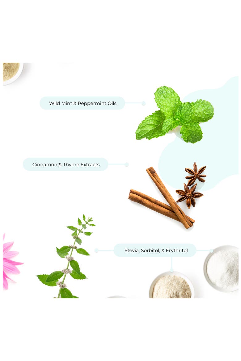 Wild Mint Mineral Toothpaste, Alternate, color, NO COLOR