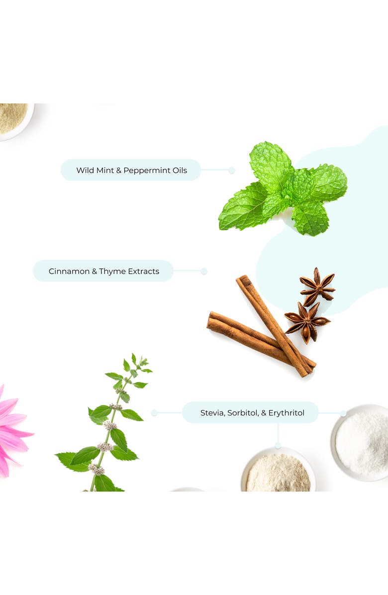 RISEWELL Wild Mint Mineral Toothpaste, Alternate, color, 