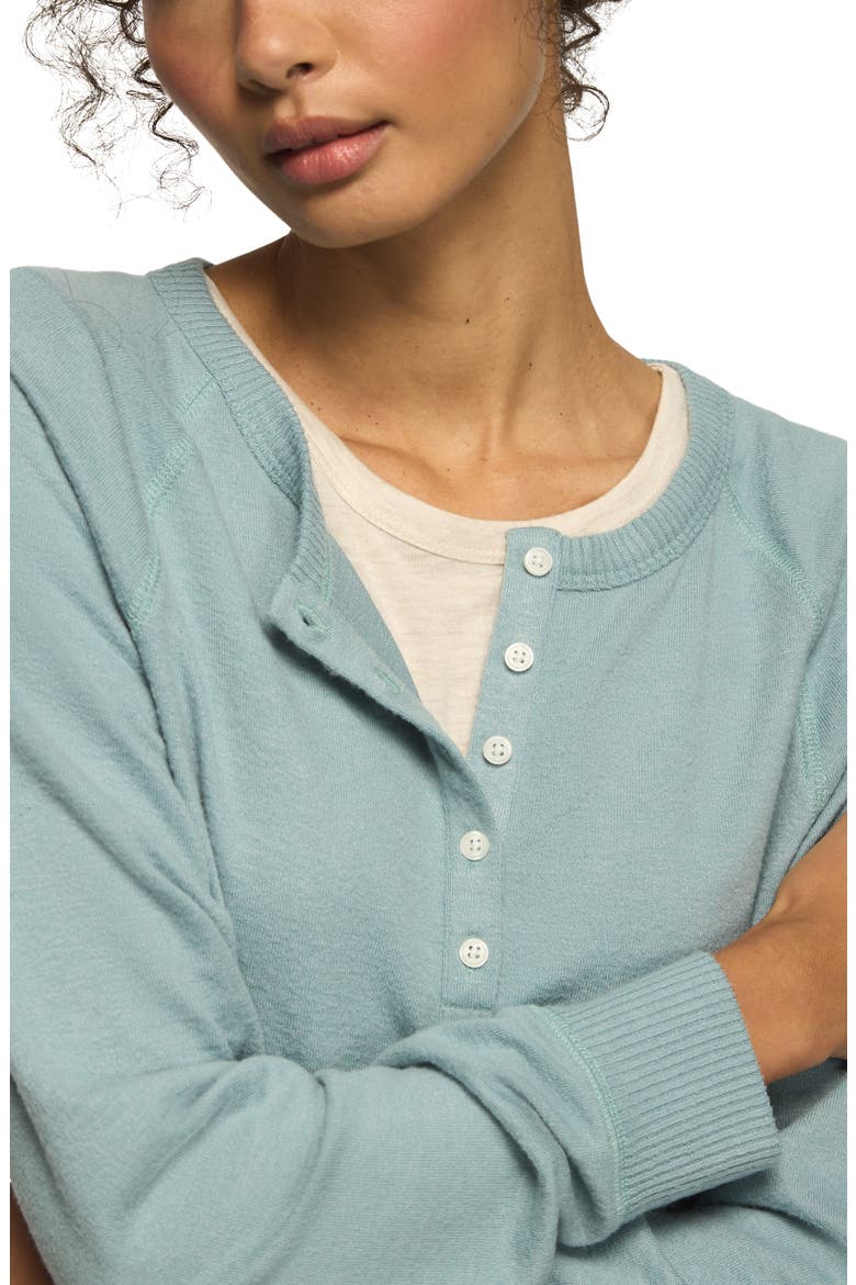 Cloud Long Sleeve Henley, Main, color, TOURMALINE