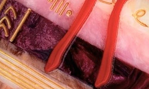 Solar Eclipse Hand Painted Bow Bookstack Claw Clip In Pink