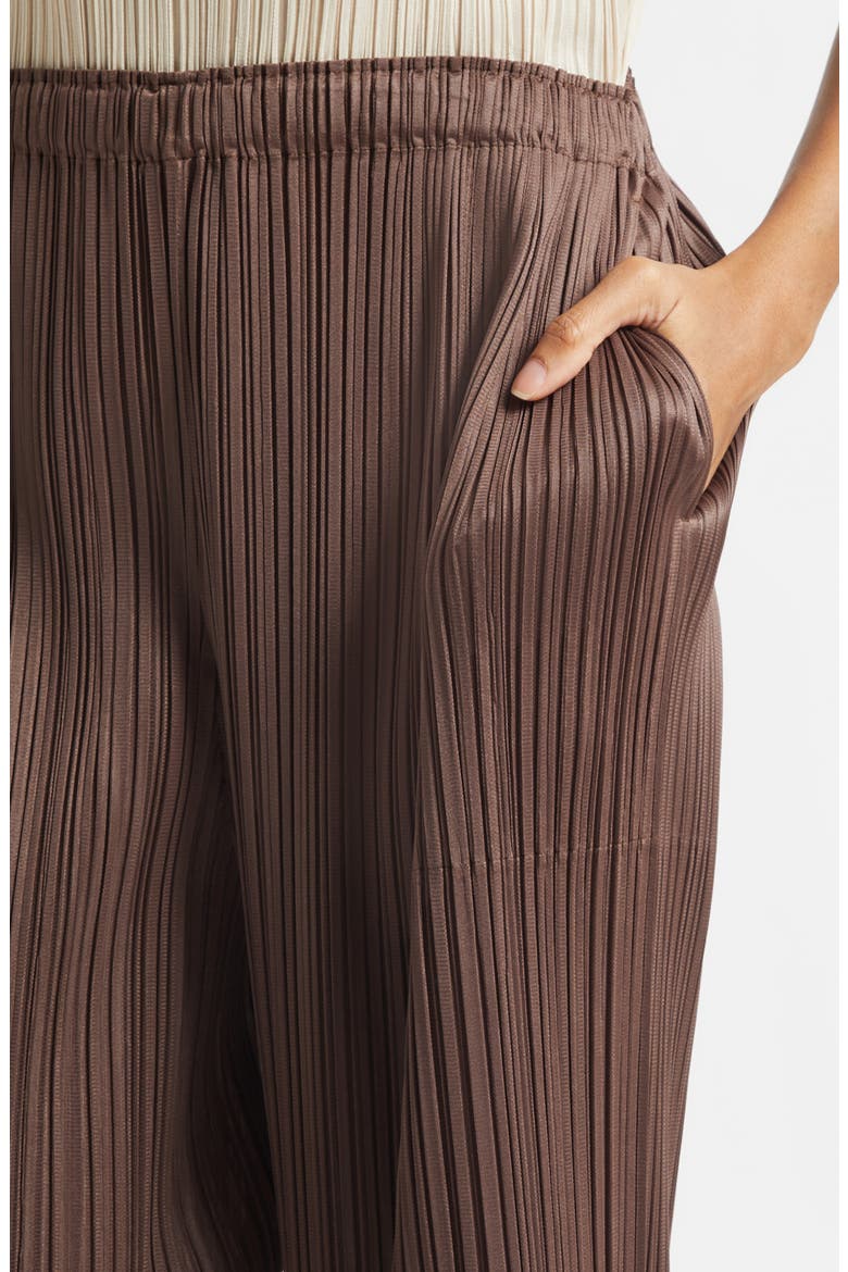 Loop Pleated Wide Leg Ankle Pants, Alternate, color, DARK BROWN