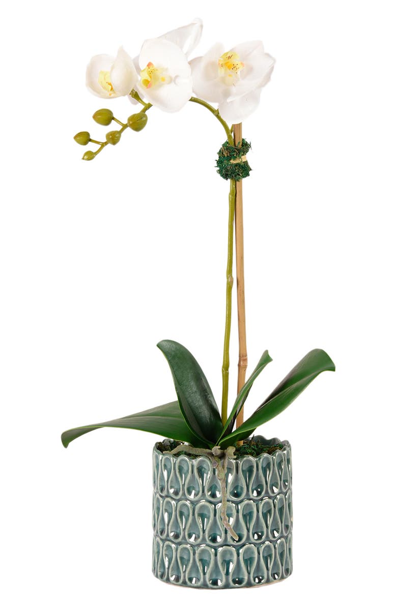 Bloomr Casual Orchid Planter Decoration, Main, color,