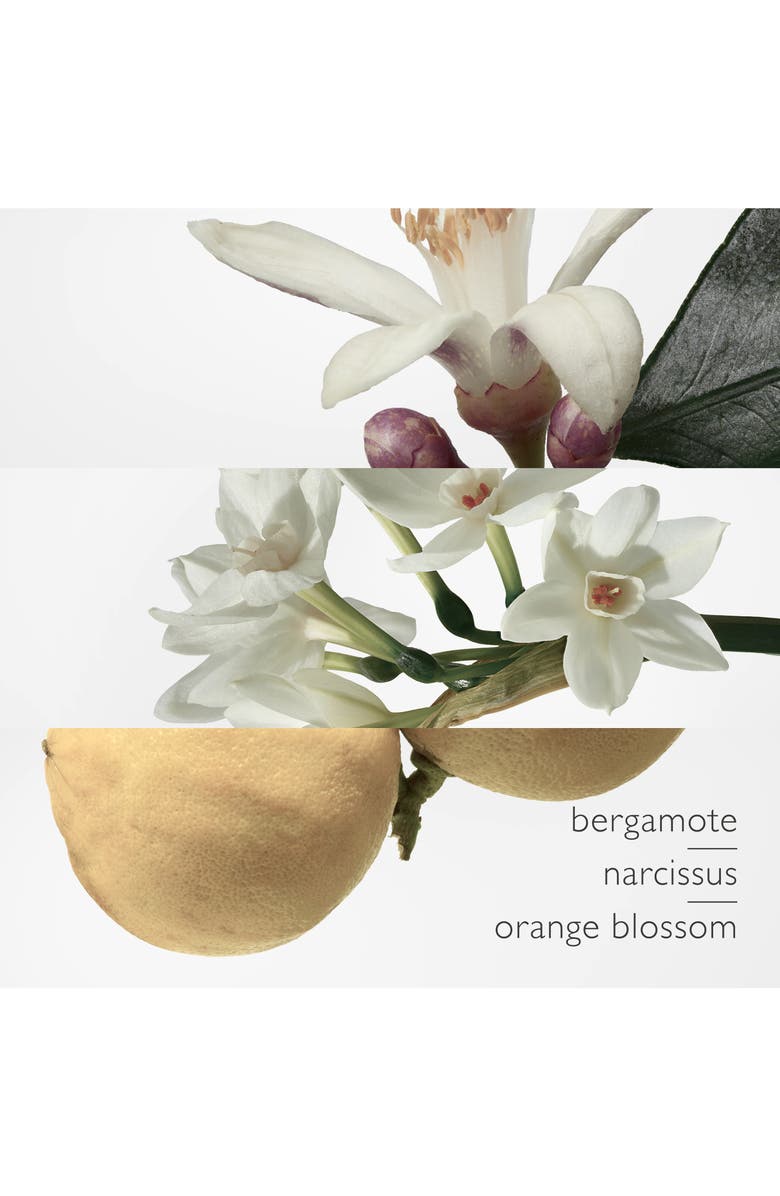 Hermès Eau de Narcisse Bleu - Eau de Cologne, Alternate, color, 