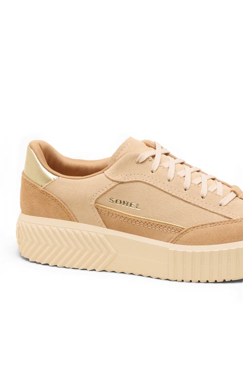 Sorel Ona Ave T-toe Platform Sneaker In Brown