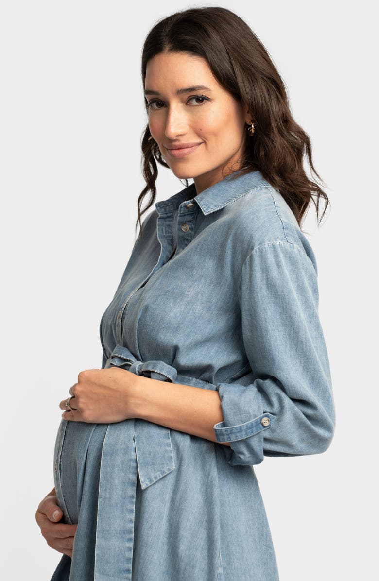 Seraphine Long Sleeve Chambray Maternity Shirtdress, Alternate, color, 