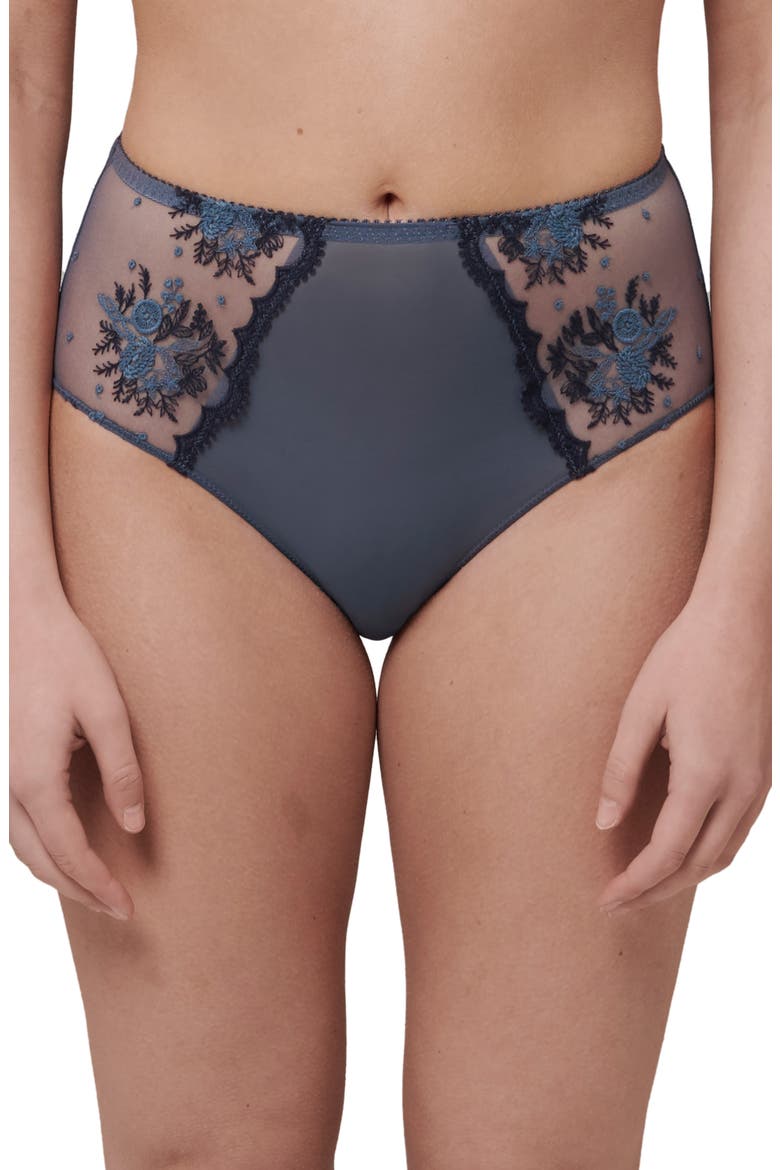 Intrigue Floral Embroidered Briefs, Main, color, CINDER BLUE