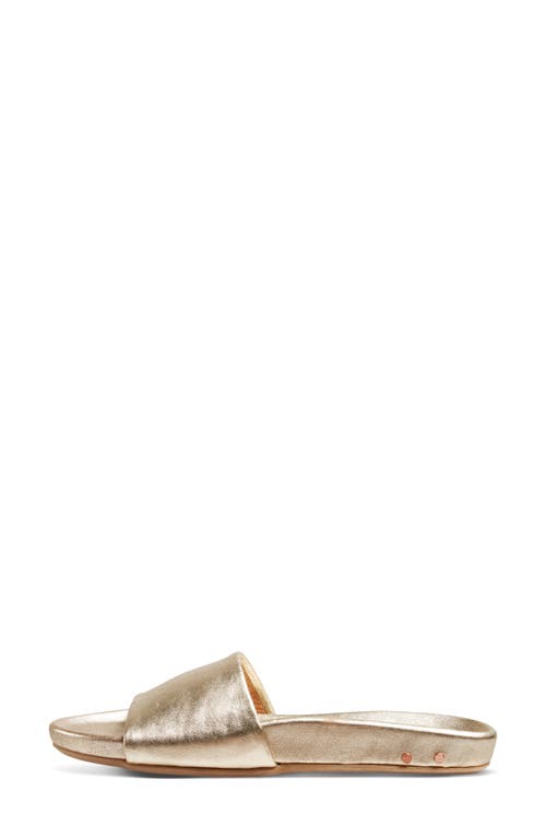 Beek Gallito Slide Sandal In Gold