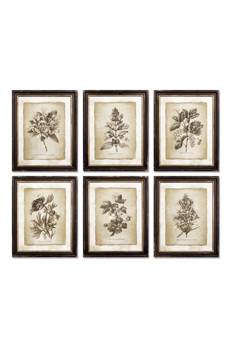 Framed Vintage Floral Prints Set of 6, Main, color, Black