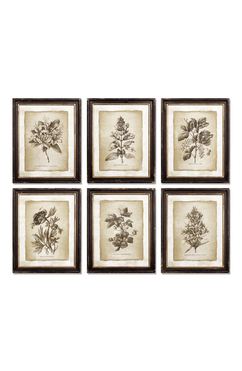 Napa Home & Garden Framed Vintage Floral Prints Set of 6, Main, color,