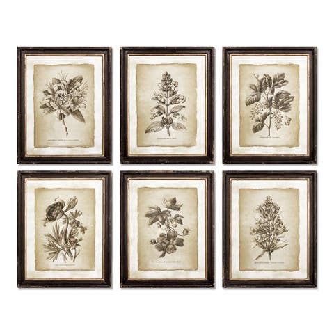 Framed Vintage Floral Prints Set of 6