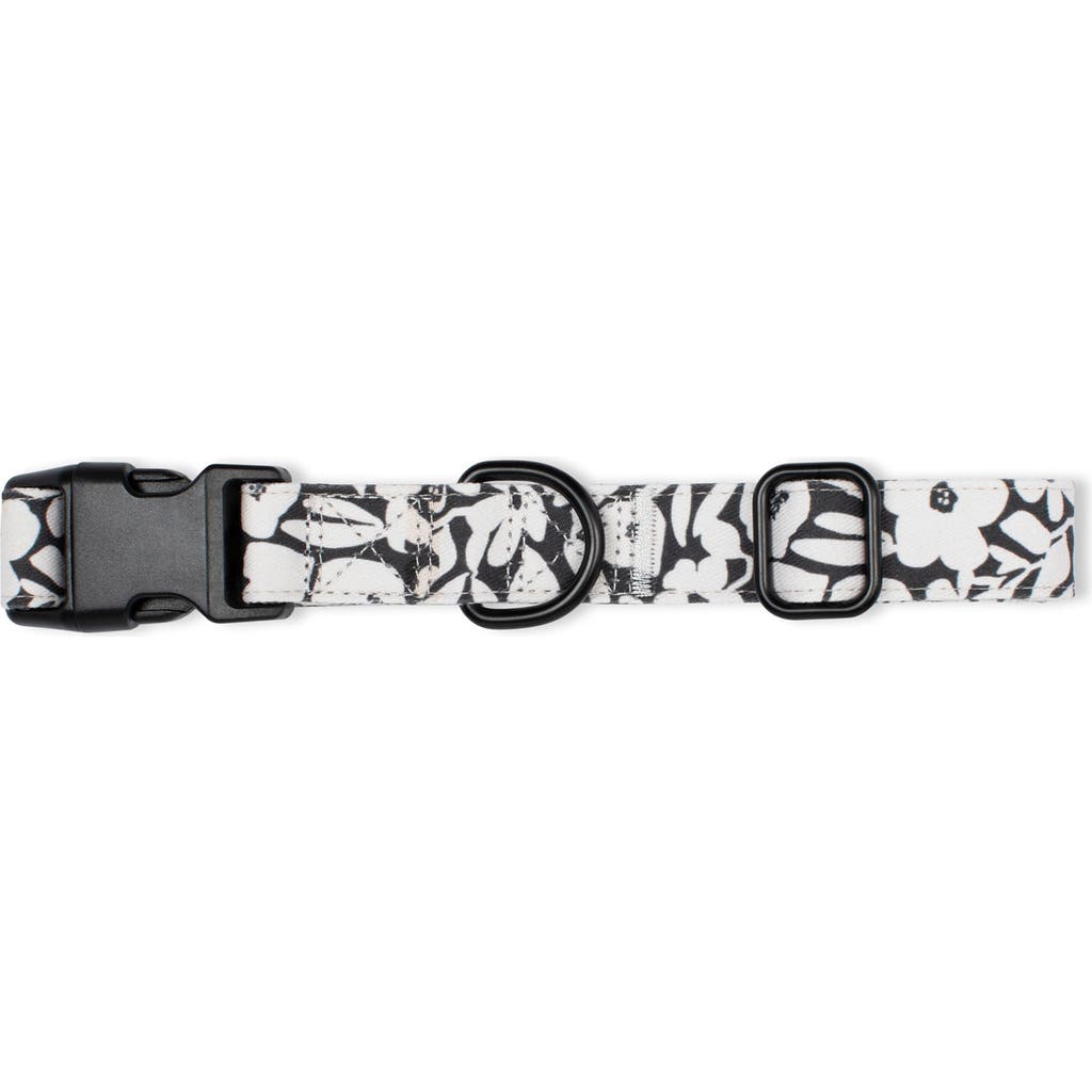 Fringe Studio Charcoal Floral Large Dog Collar  product