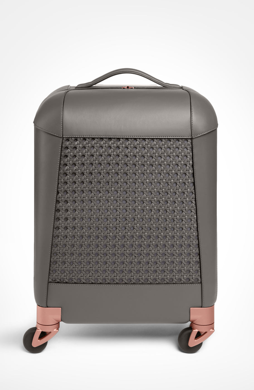 Aviteur Calfskin Lucite Handle Carry-on 19 Luggage In Gray